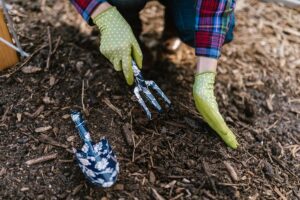 Arbeiten im Garten