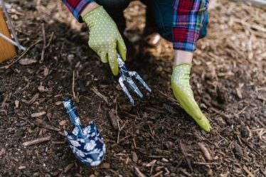 Arbeiten im Garten