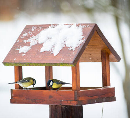 Vogelfutterhaus im privaten Garten